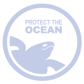 oceanwell logo 2 klein